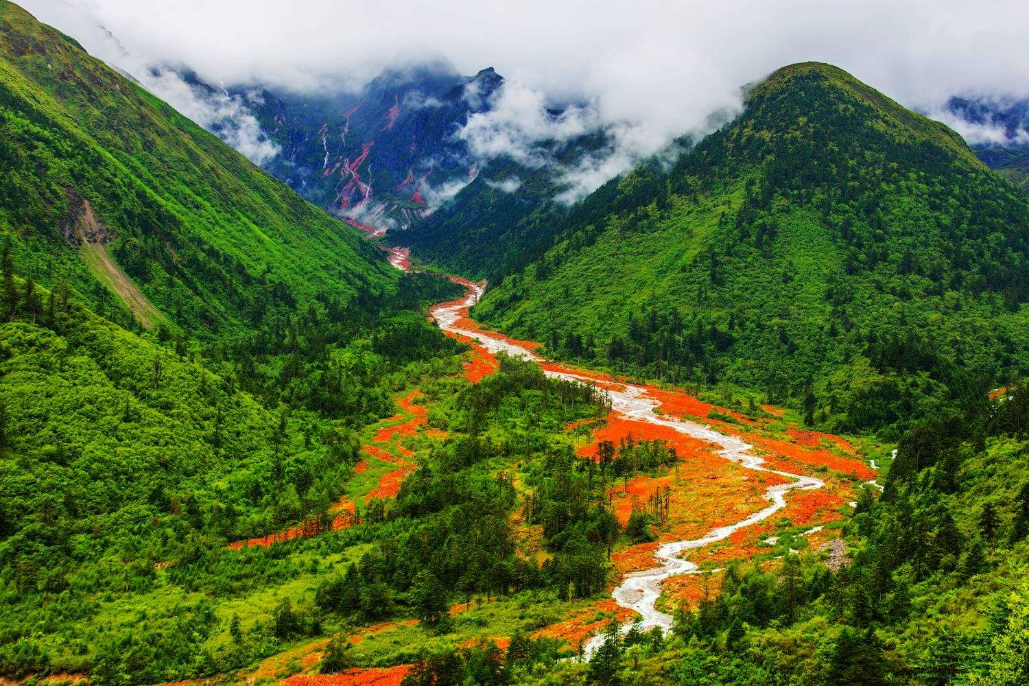 四川美食与文化探秘之旅，初学者必读指南