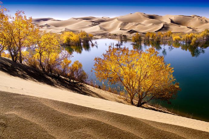 新疆,壮美多彩大地的探秘之旅