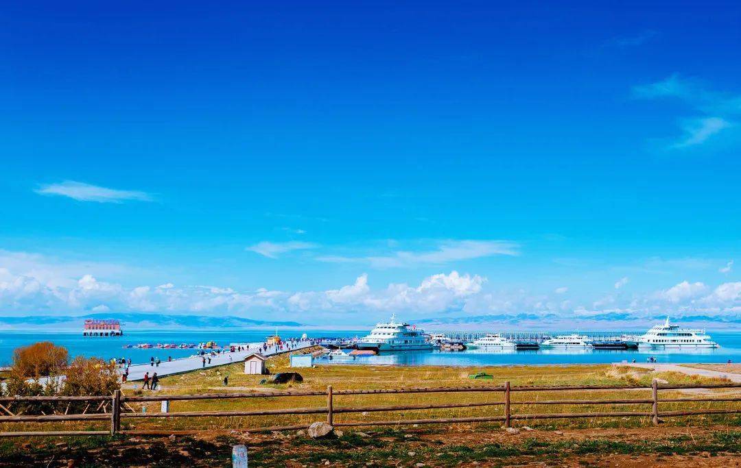 高原瑰宝，青海生态与文化探秘之旅